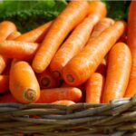 basket of carrots