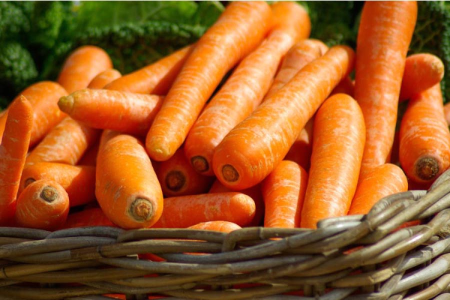 basket of carrots