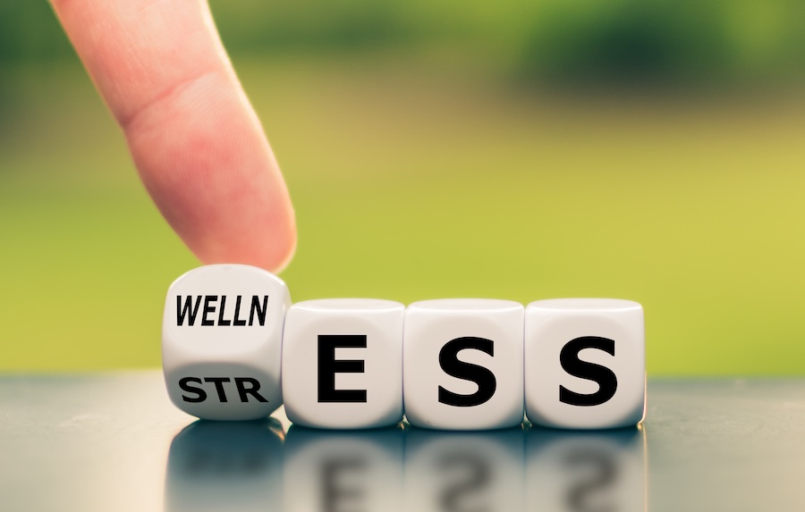 dice spelling stress and wellness, does stress affect your teeth?